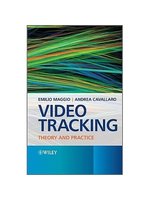 Video tracking:theory and practice