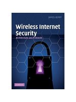 Wireless Internet security:a...