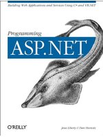 Programming ASP.NET