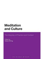 Meditation and culture:the i...