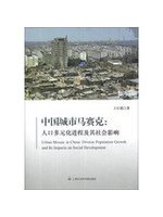 中國城市馬賽克:人口多元化進程及其社會影響