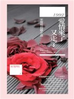 1992,愛情來了又走了:宋智明長篇小說